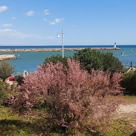 T3 Carnon, 1Ere Ligne 50M Plage Terrasse Parking موجيو المظهر الخارجي الصورة